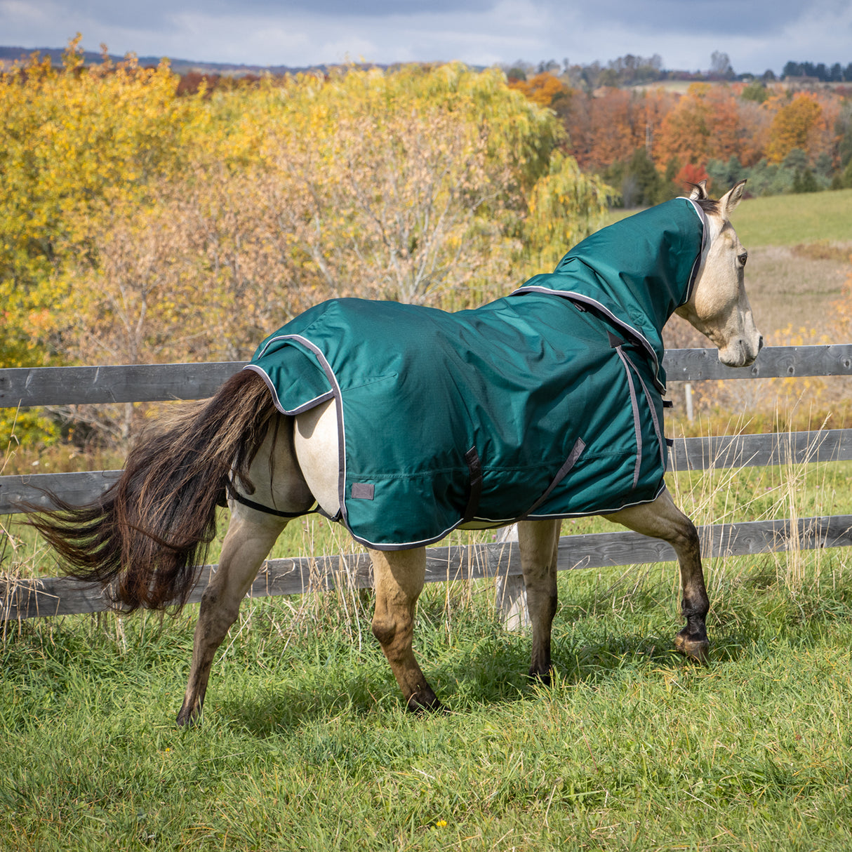 Shedrow Insulated Rainsheet W/ Hood 100 g