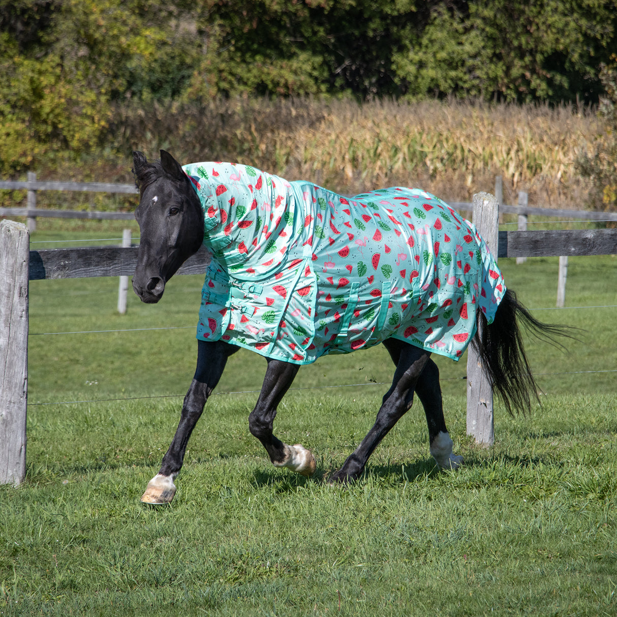 Couverture anti-mouches Shedrow Flamingo Breeze Extend-A-Neck