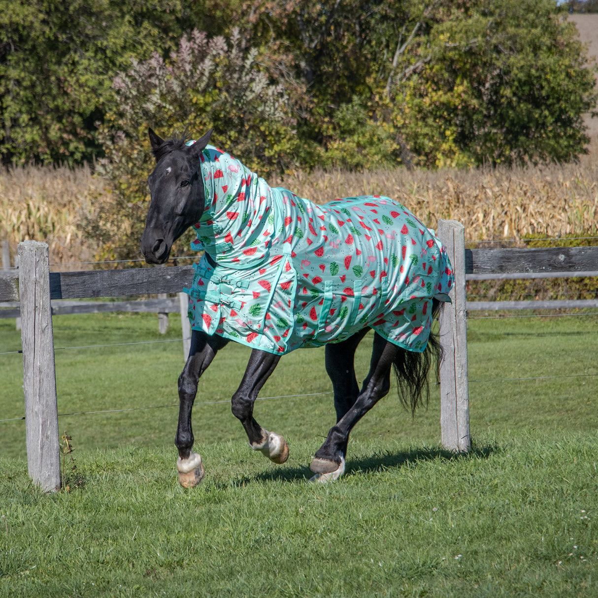 Couverture anti-mouches Shedrow Flamingo Breeze Extend-A-Neck