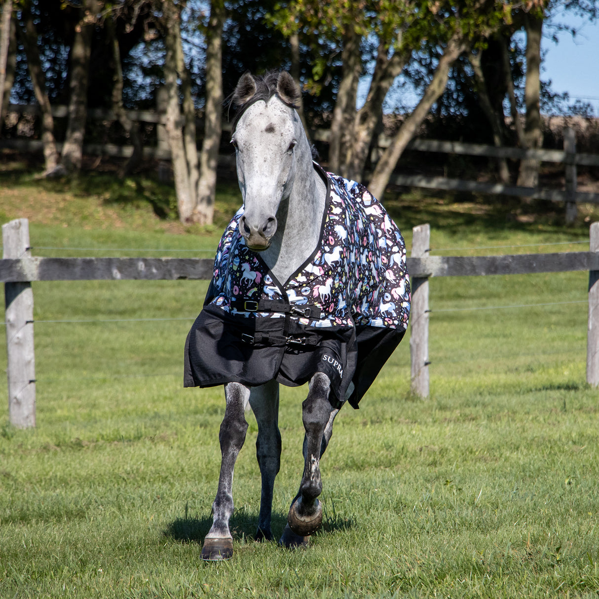 Space Ponies x Supra Rainsheet 0 g