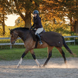 Feuille d'exercice Shedrow Softshell
