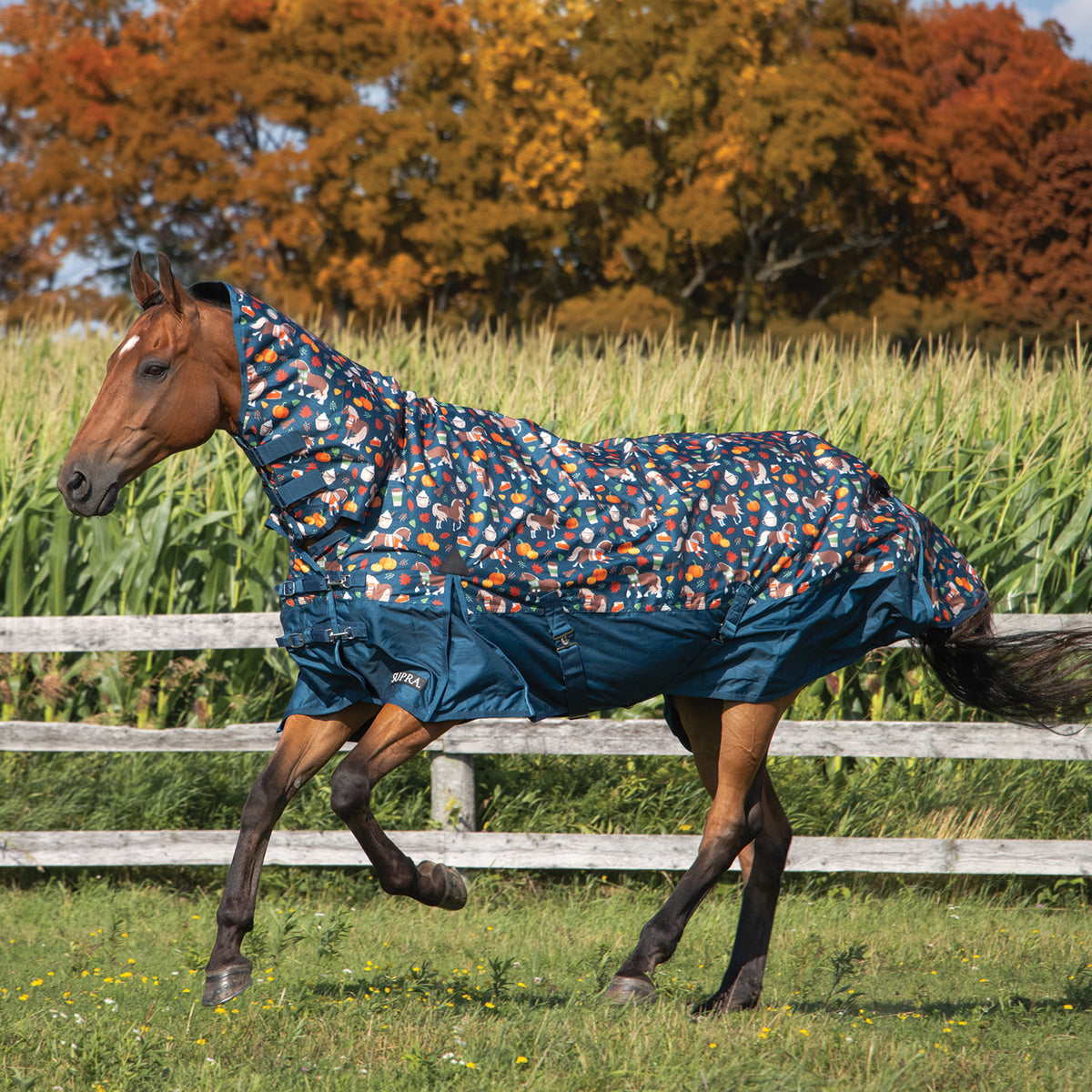 Pumpkin Spice Ponies x Supra Full Neck Rainsheet 0 g