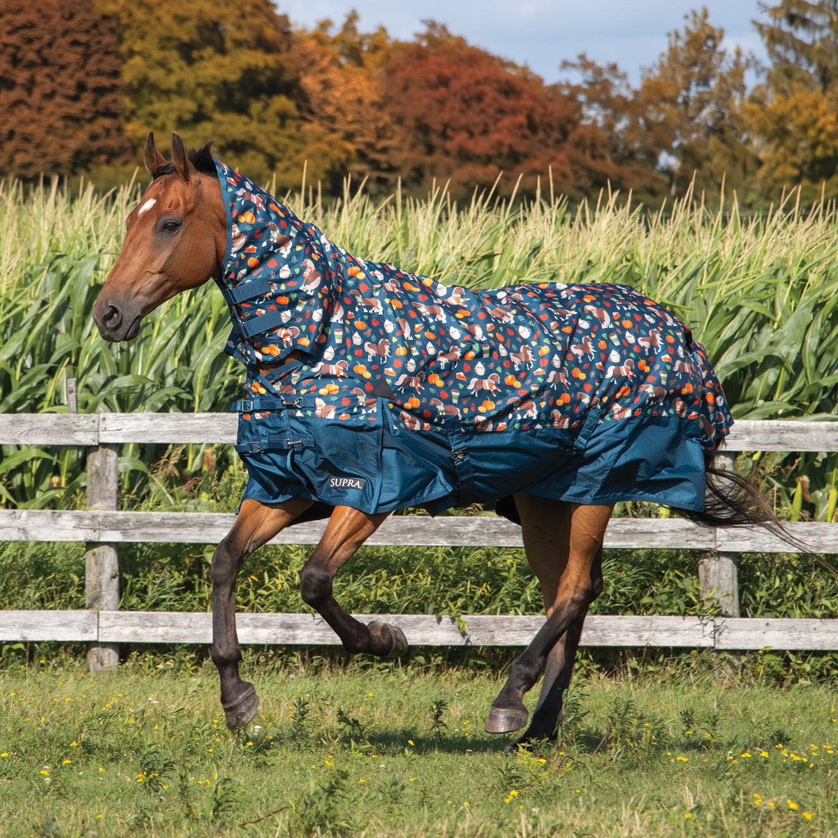 Pumpkin Spice Ponies x Supra Full Neck Rainsheet 0 g