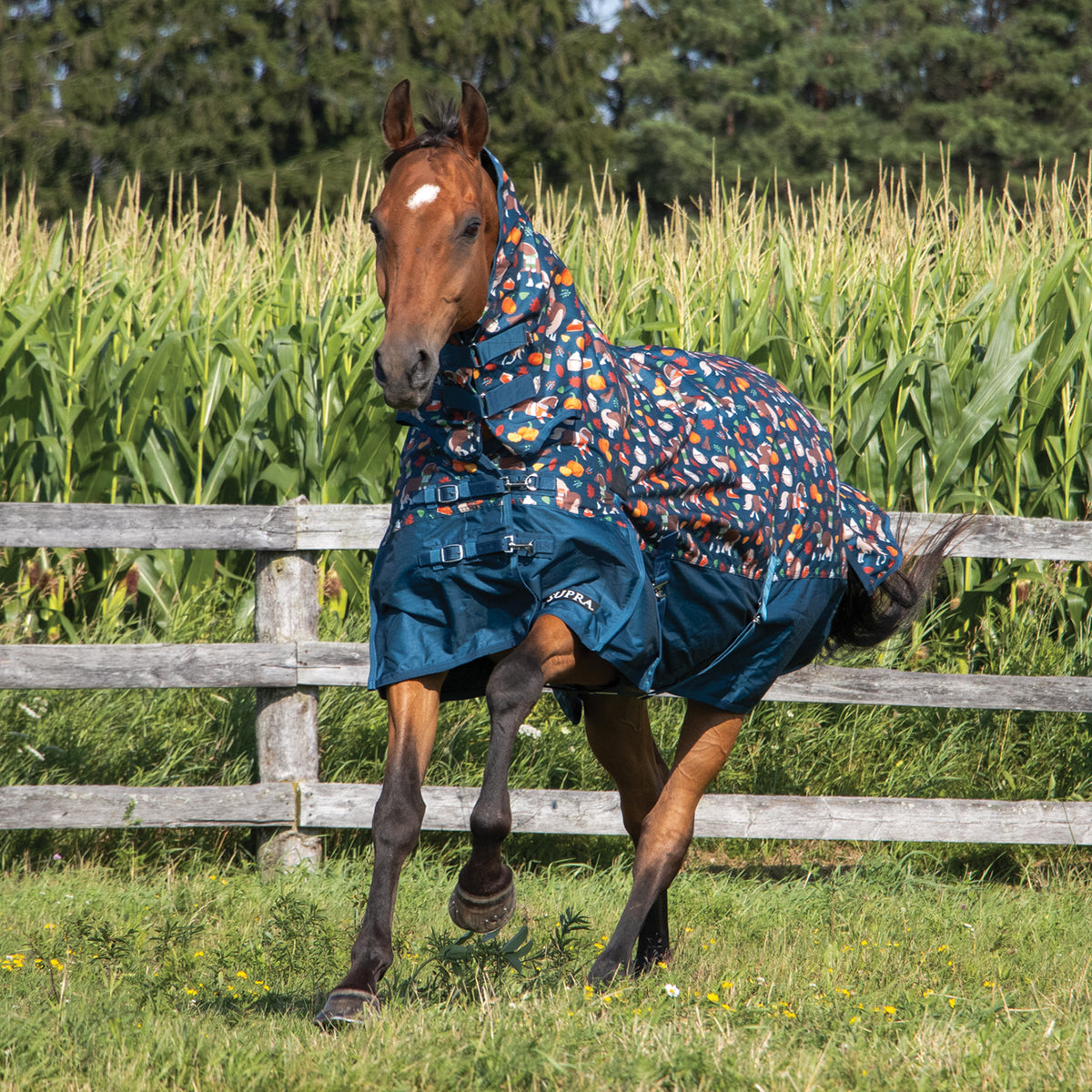 Pumpkin Spice Ponies x Supra Full Neck Rainsheet 0 g