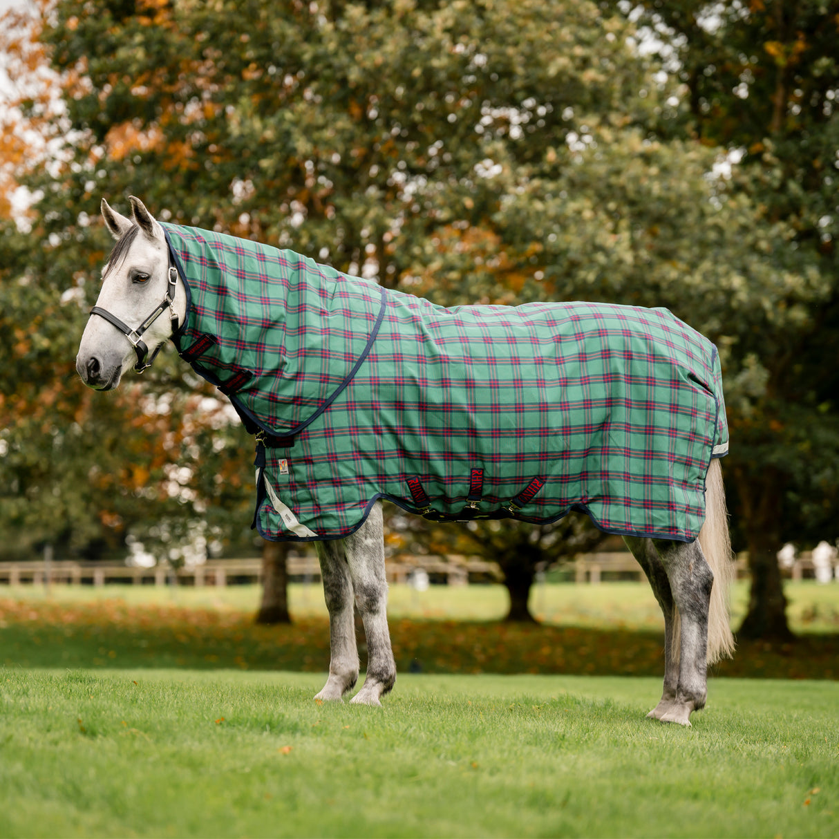 Limited Edition Rhino Plus Vari-Layer Turnout Blanket 250 g