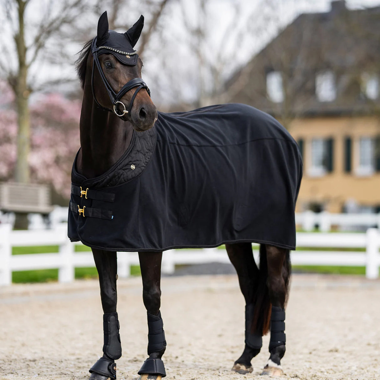 Tapis polaire Back on Track Deep Nights