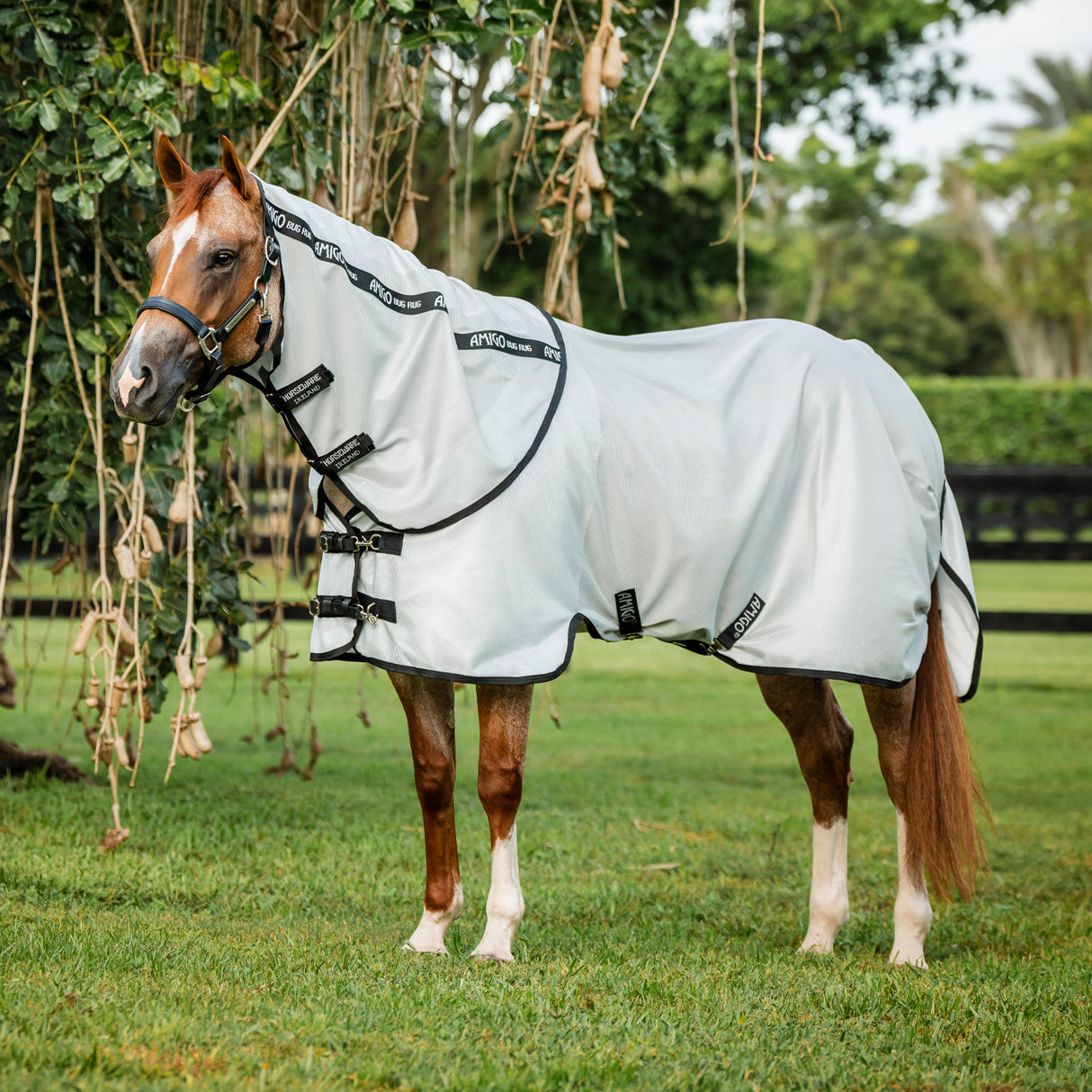 Amigo Bug Rug Quarter Horse Plus Fly Sheet