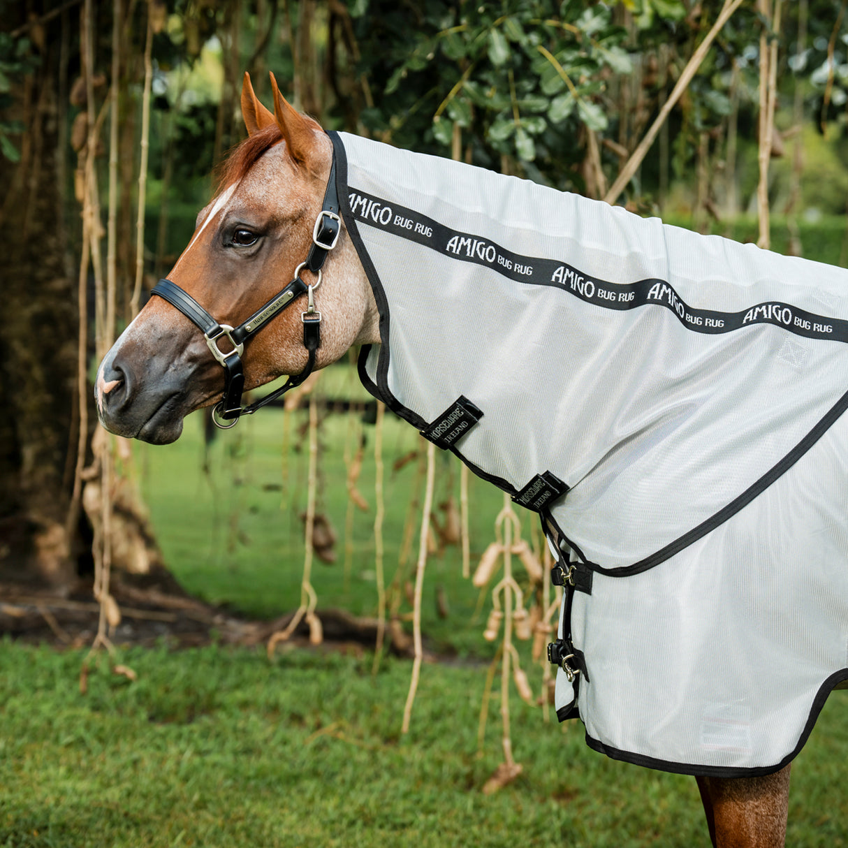 Amigo Bug Rug Quarter Horse Plus Fly Sheet