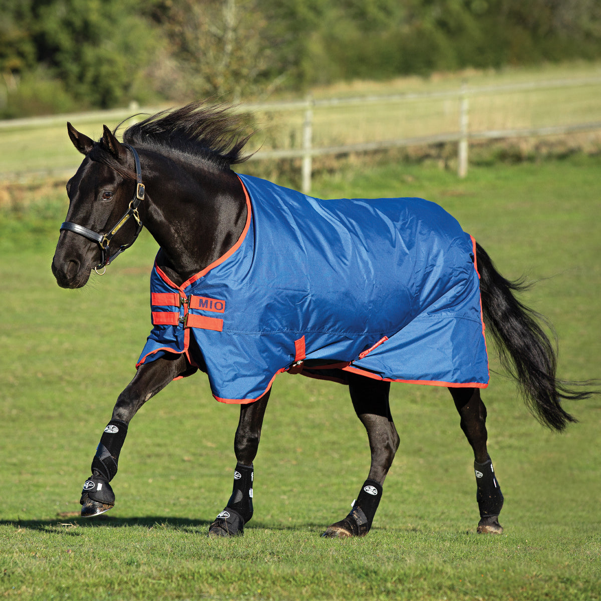 Mio Medium Turnout Blanket 200 g