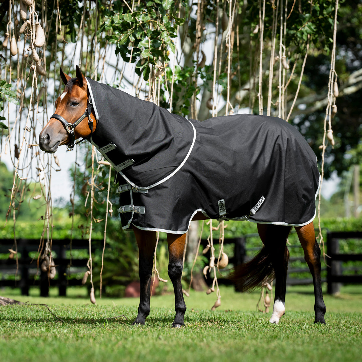 Amigo Ripstop Quarter Horse Plus Rainsheet 0 g