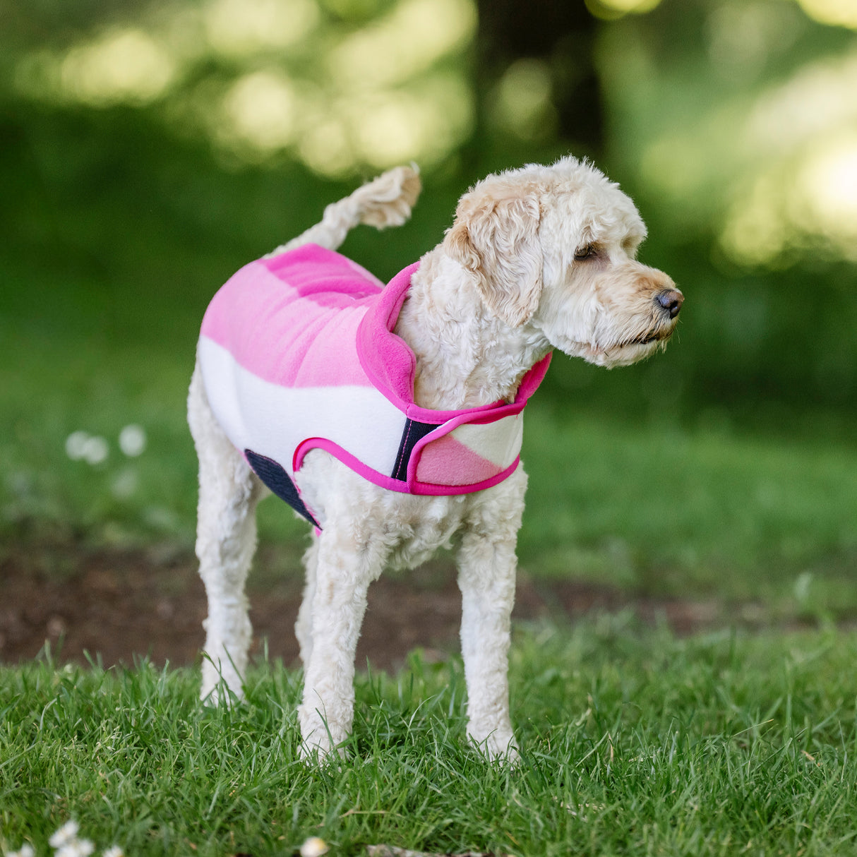 Horseware Newmarket Fleece Dog Coat