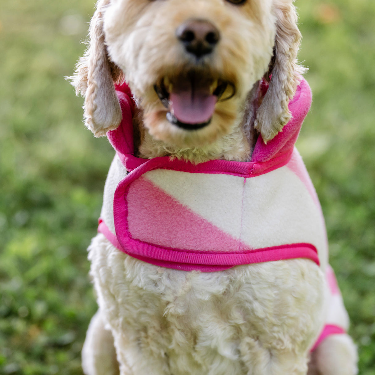 Horseware Newmarket Fleece Dog Coat