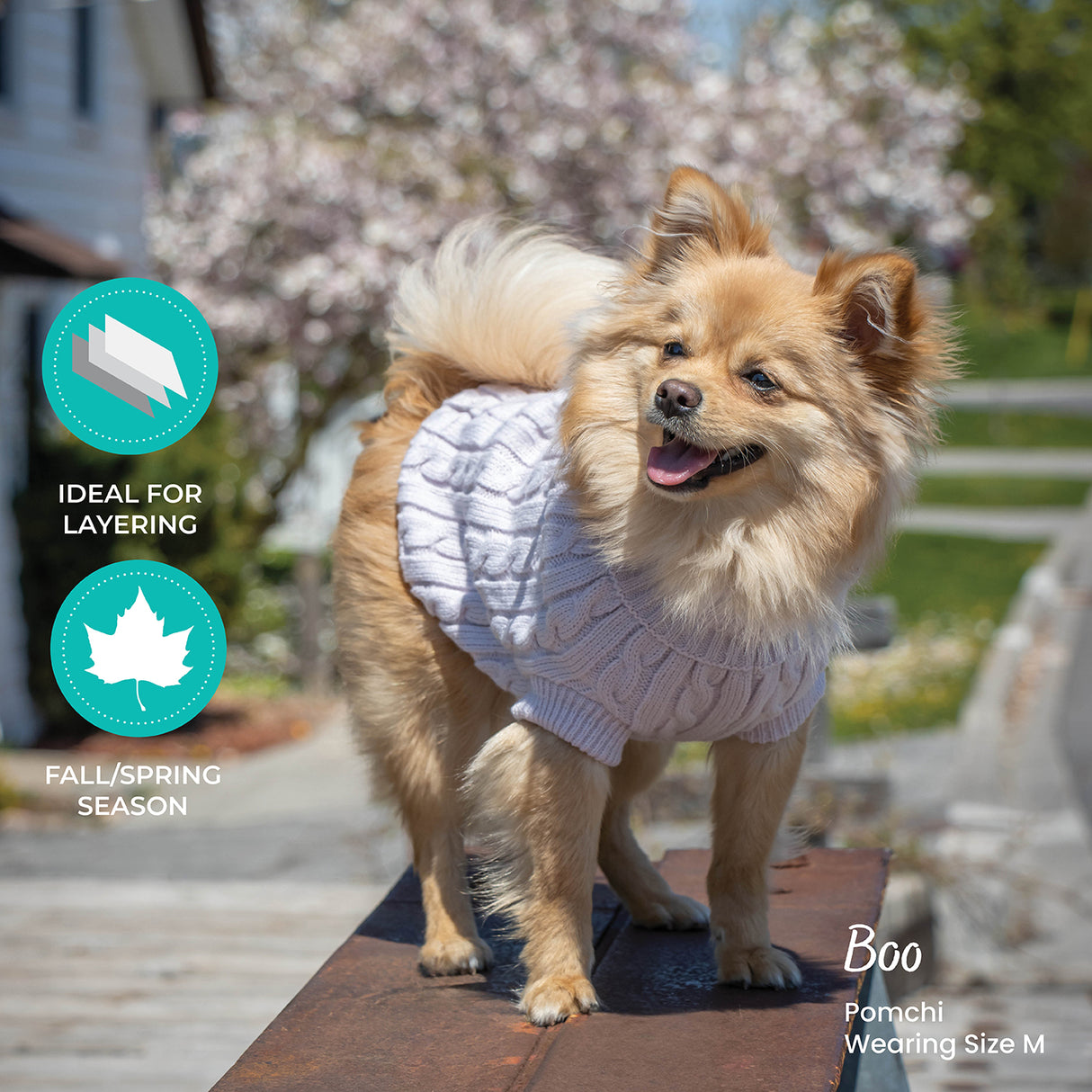 Chandail pour chien en tricot torsadé Shedrow K9 Brentwood
