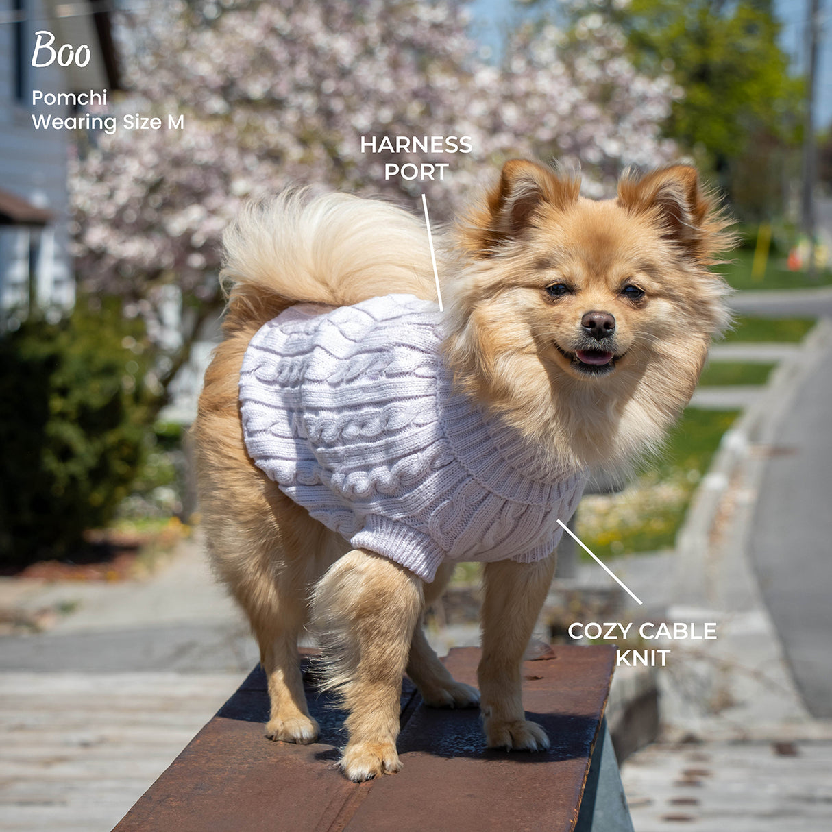 Chandail pour chien en tricot torsadé Shedrow K9 Brentwood