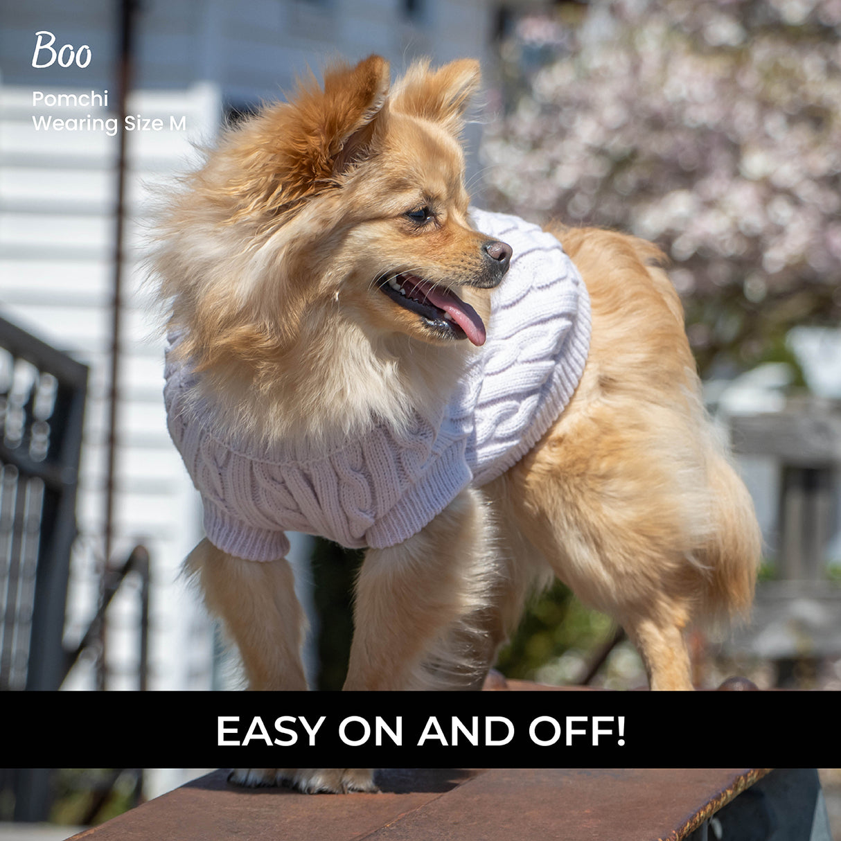 Chandail pour chien en tricot torsadé Shedrow K9 Brentwood