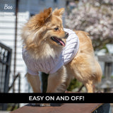 Chandail pour chien en tricot torsadé Shedrow K9 Brentwood