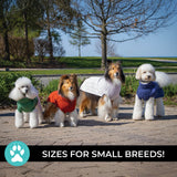 Chandail pour chien en tricot torsadé Shedrow K9 Brentwood