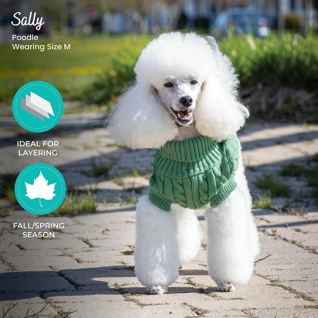 Chandail pour chien en tricot torsadé Shedrow K9 Brentwood