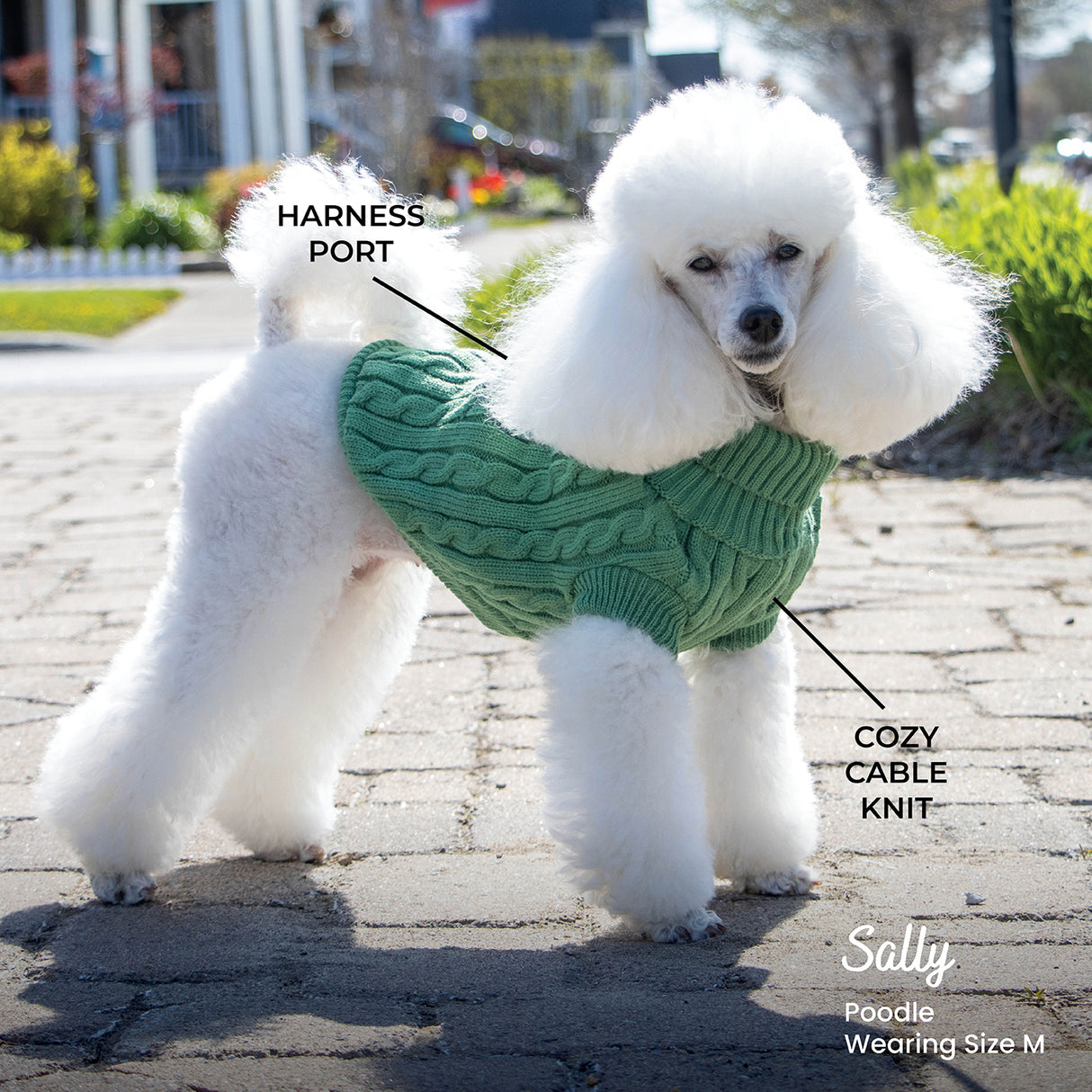 Chandail pour chien en tricot torsadé Shedrow K9 Brentwood