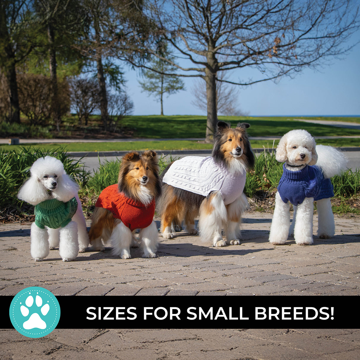 Chandail pour chien en tricot torsadé Shedrow K9 Brentwood