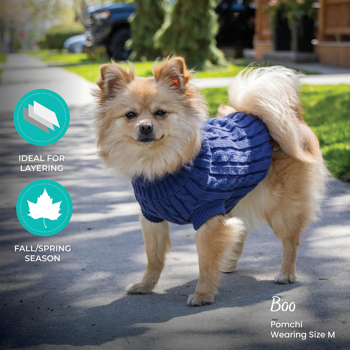 Chandail pour chien en tricot torsadé Shedrow K9 Brentwood