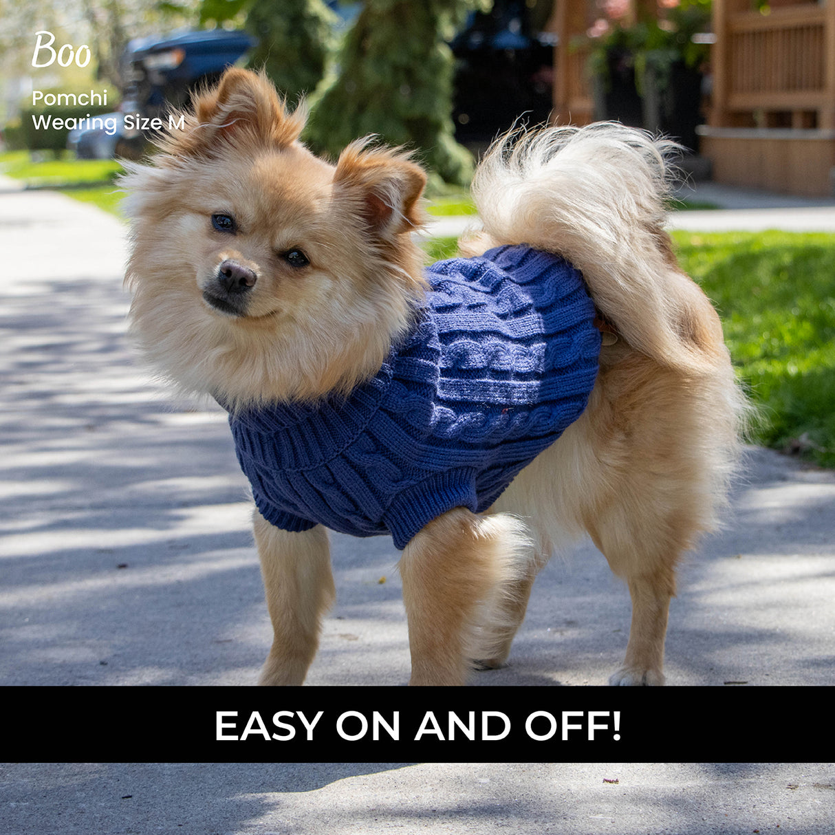 Chandail pour chien en tricot torsadé Shedrow K9 Brentwood