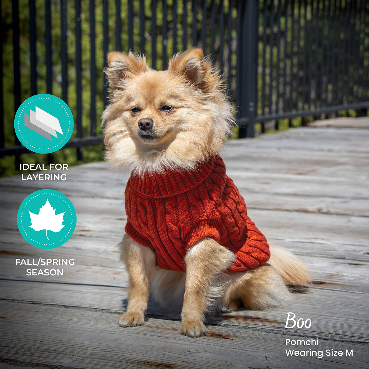 Chandail pour chien en tricot torsadé Shedrow K9 Brentwood