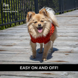 Chandail pour chien en tricot torsadé Shedrow K9 Brentwood