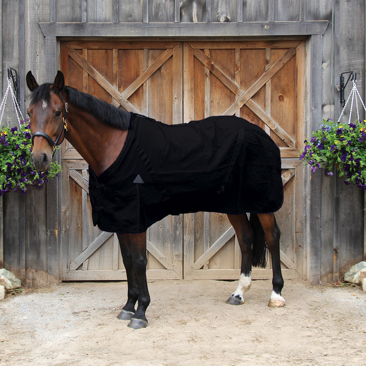 Shedrow Stable Sheet