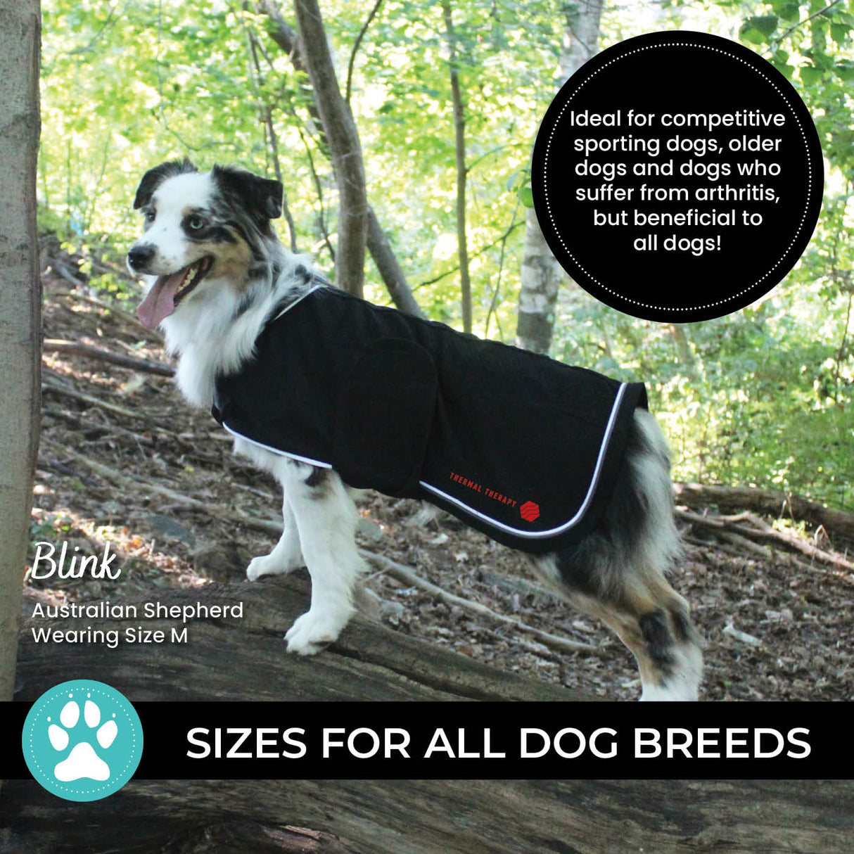 Thermal Therapy Mesh Dog Coat