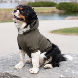 Shedrow K9 Brentwood Dog Hoodie