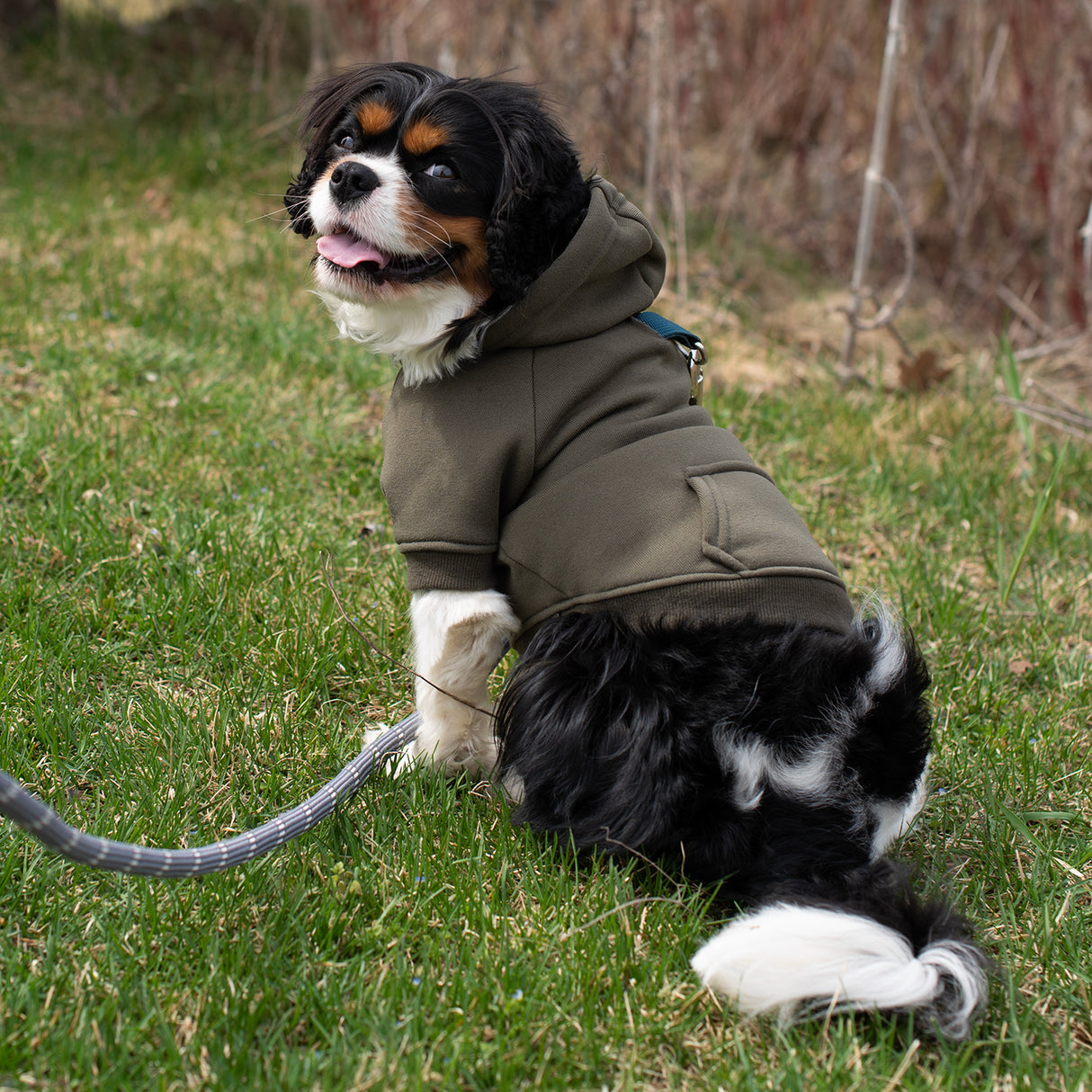 Shedrow K9 Brentwood Sweat à capuche pour chien