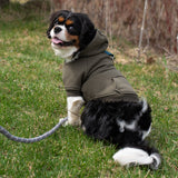 Shedrow K9 Brentwood Dog Hoodie