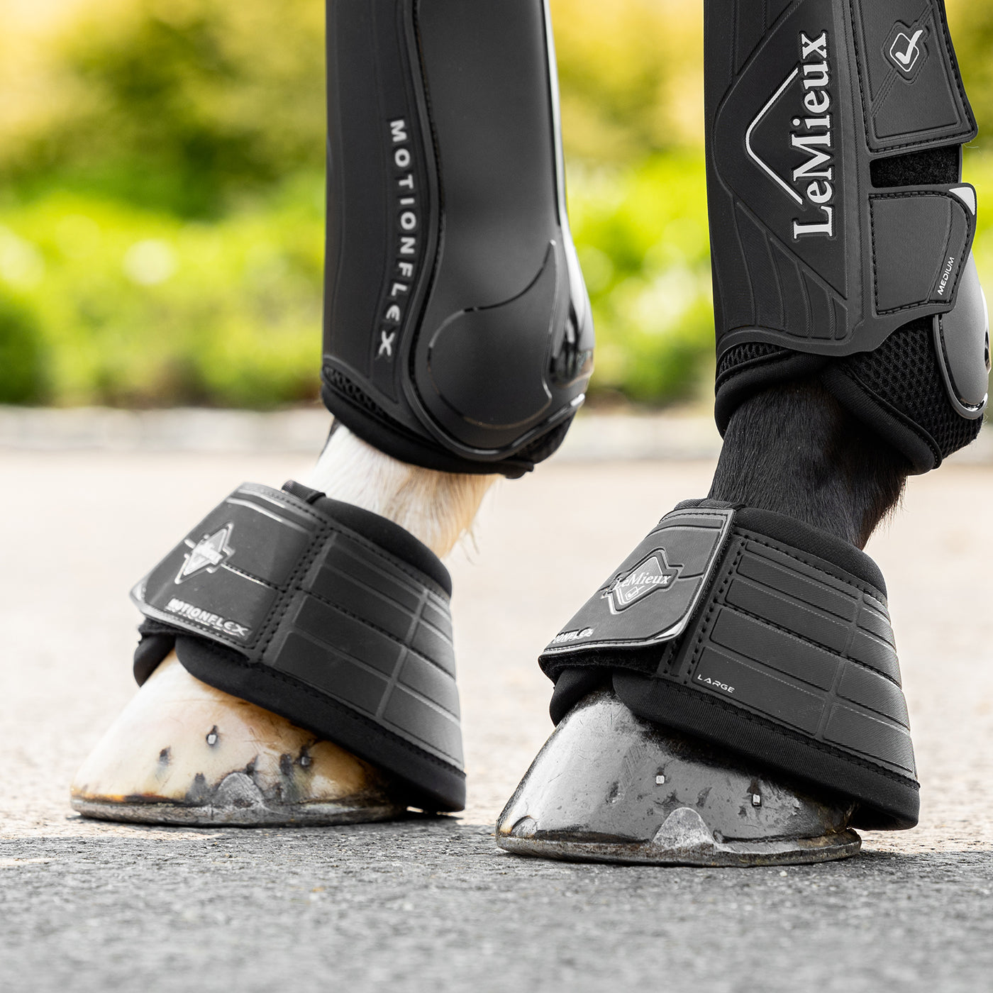 Lemieux Motionflex Over Reach Boot Black - Ankis hästsport