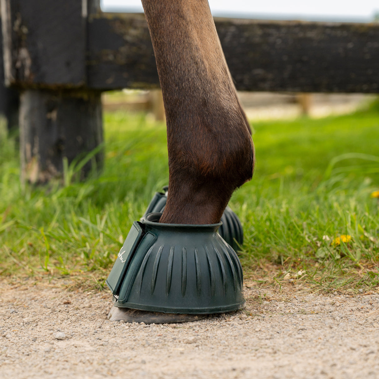 Shedrow Deluxe Bell Boots W/ Velcro