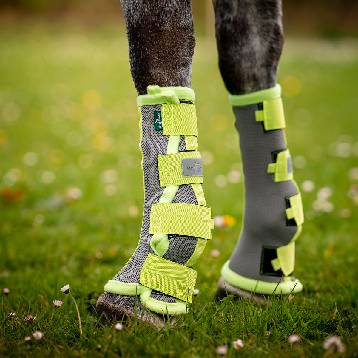 Horseware Fly Boots – Greenhawk Equestrian Sport