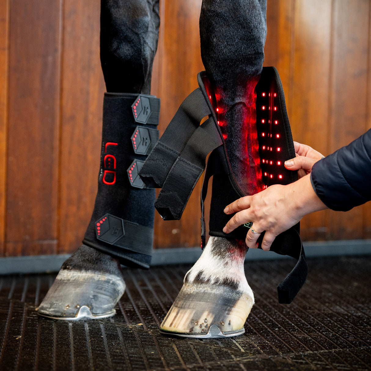 Horseware LED Red Light Therapy Left Leg Wrap