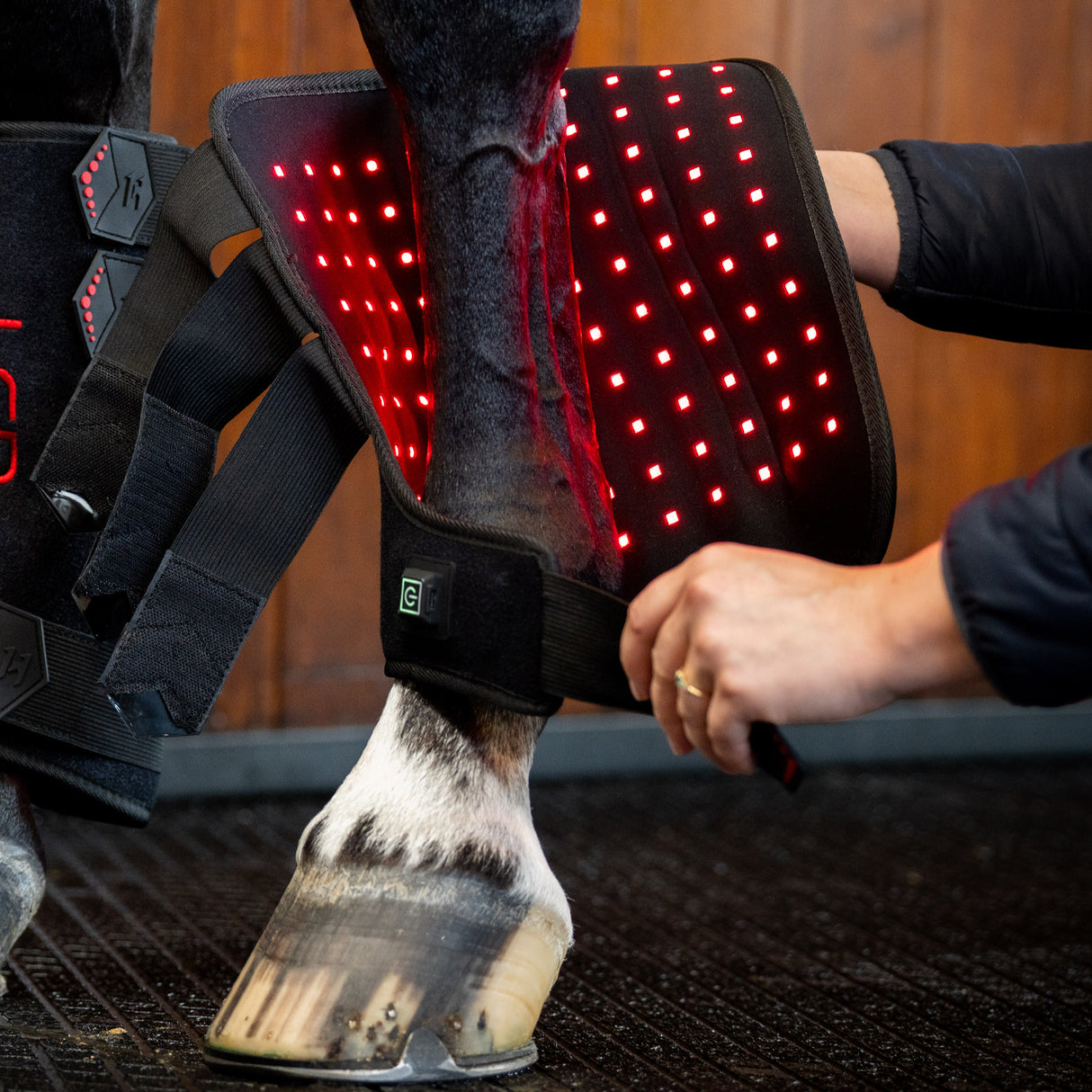 Horseware LED Red Light Therapy Left Leg Wrap