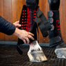 Horseware LED Red Light Therapy Right Leg Wrap