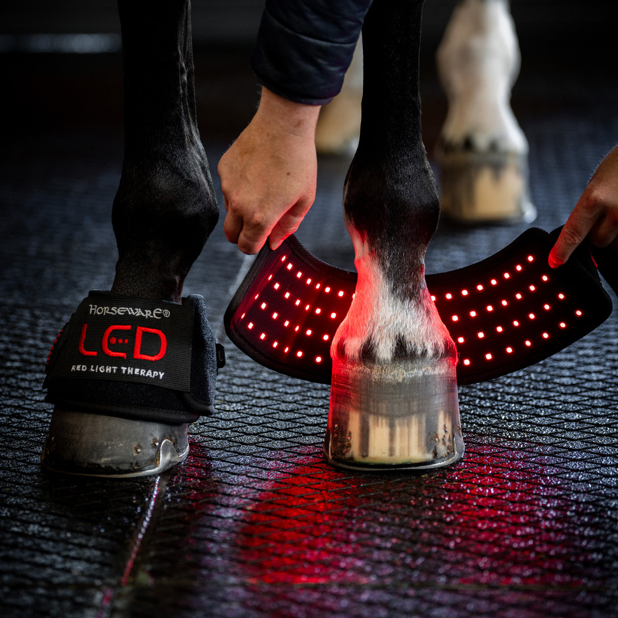 Horseware LED Red Light Therapy Mini Wrap