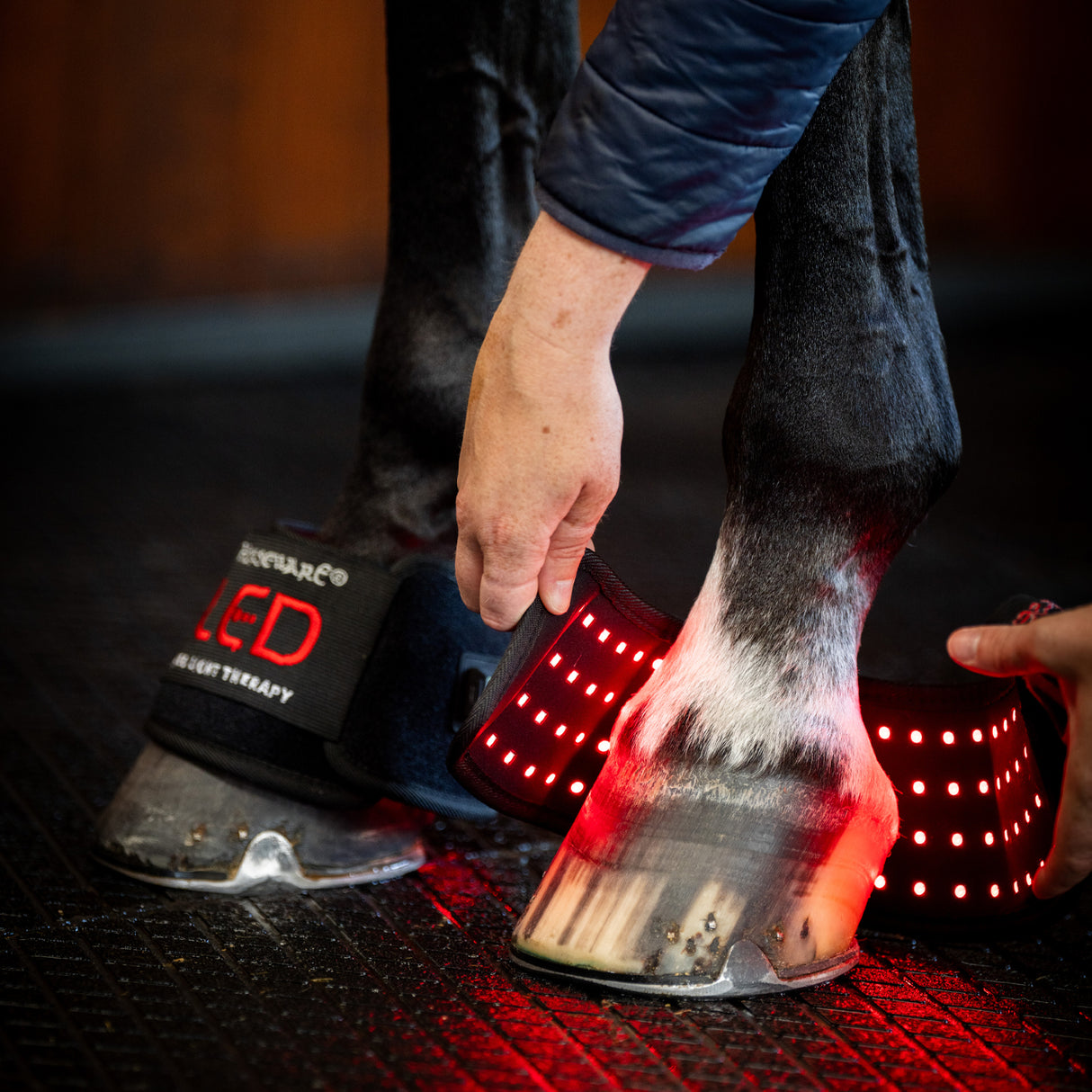 Horseware LED Red Light Therapy Mini Wrap