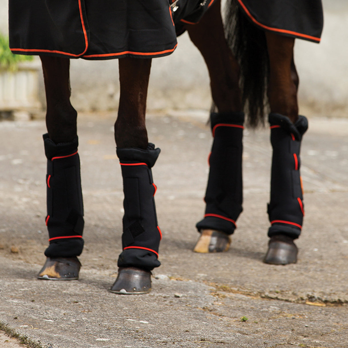 Bottes d'écurie Rambo Ionic