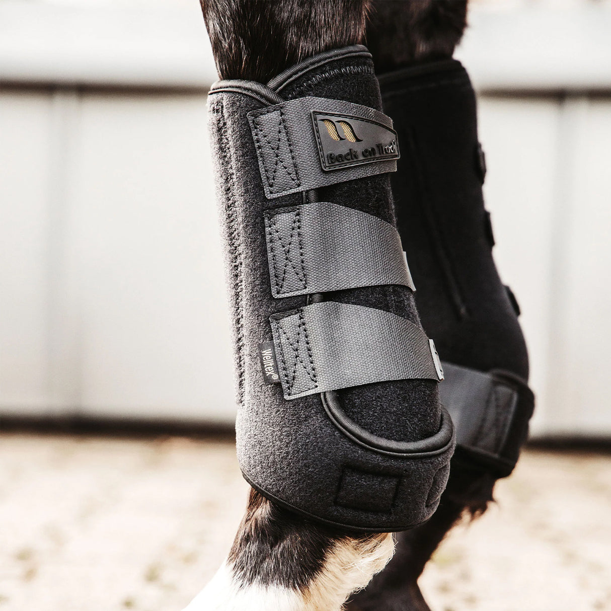 Back on Track Airflow Exercise Boots