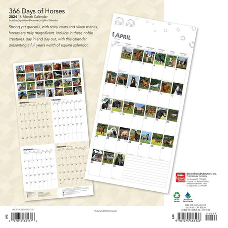 BrownTrout 366 Days of Horses 2024 Square Calendar