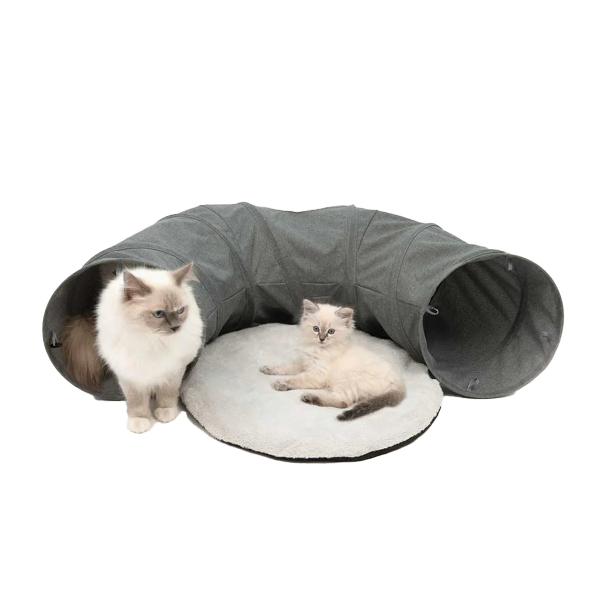 Tunnel Catit Vesper
