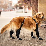 Canada Pooch Suspender Boots - Size 2