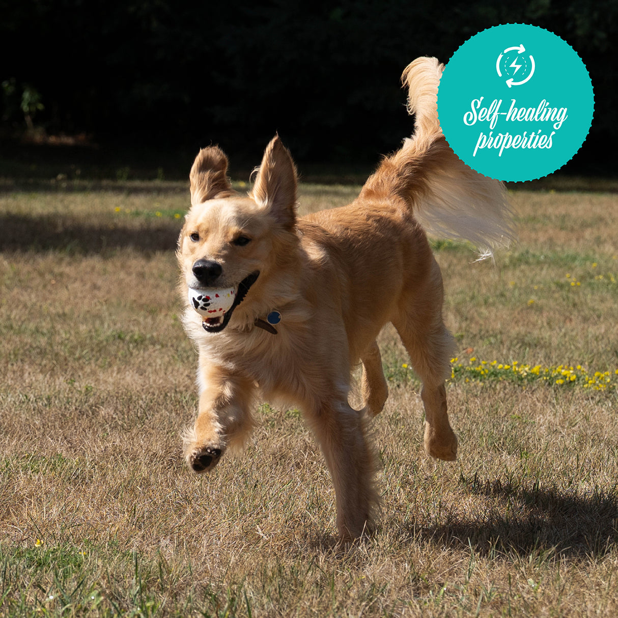 Balle FlexiPlay Shedrow K9