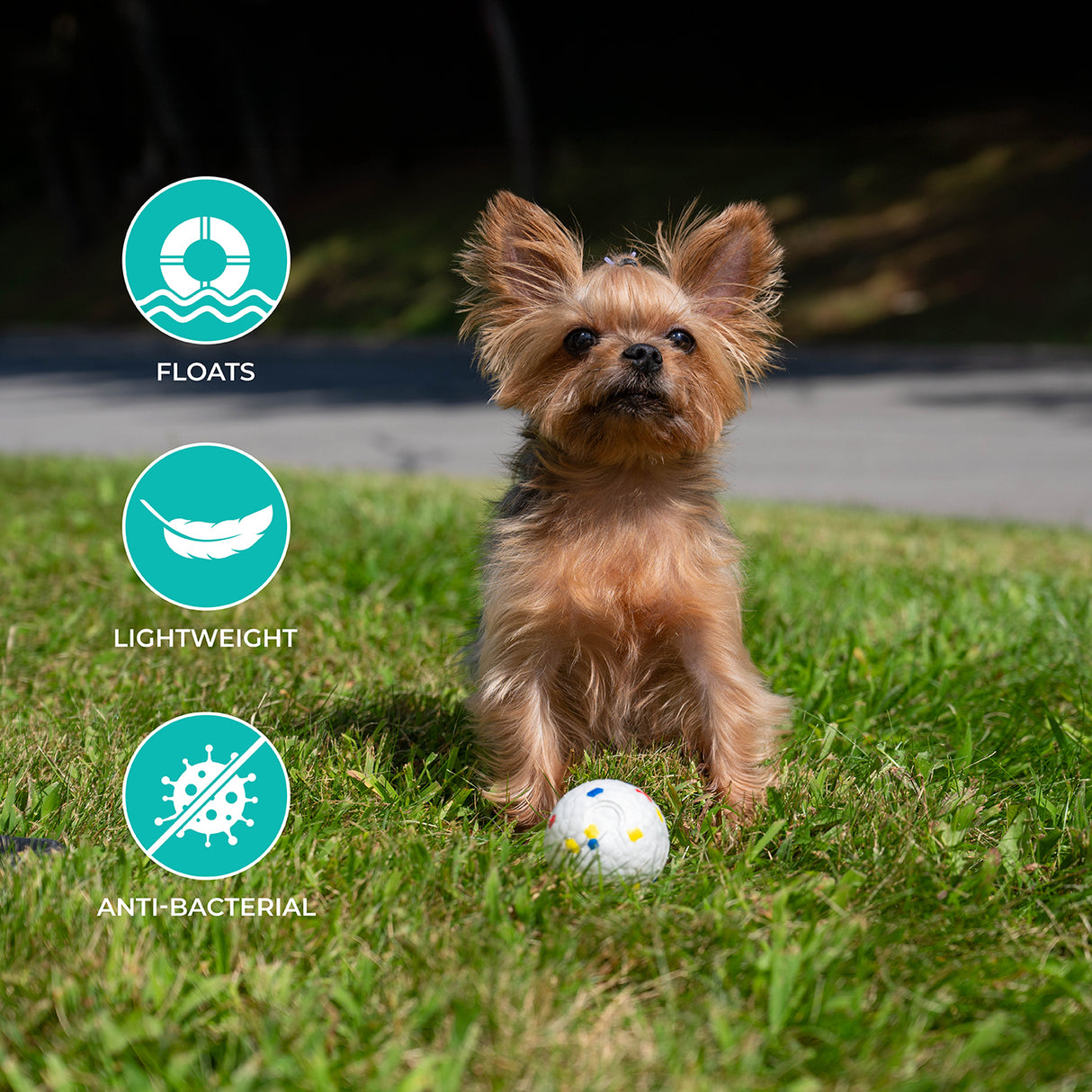 Balle FlexiPlay Shedrow K9