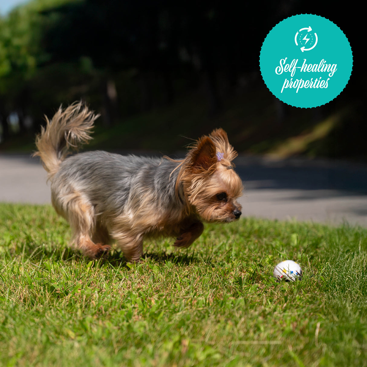 Balle FlexiPlay Shedrow K9