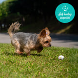 Balle FlexiPlay Shedrow K9